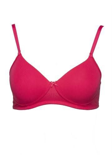 Seamless Everyday Comfort Bra – Soft, Supportive & Stylish
